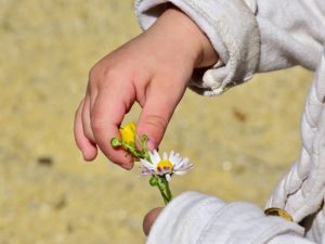 Wandern mit Kind - Neue Dinge ertasten